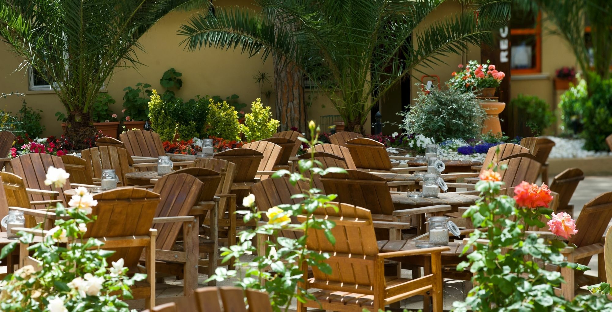 Hotel Il Mulinaccio Σαν Βιντσέντσο Εξωτερικό φωτογραφία